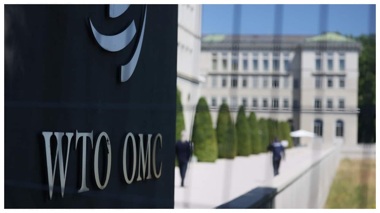 WTO reform talks face US-India wall in Cameroon: Report